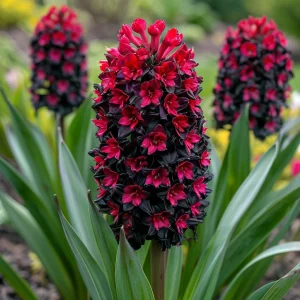 Гиацинт Джем Стоун купить по цене от 2099р. в интернет-магазине «Посадика» с доставкой почтой в в Кувшиновое и по всей России – [изображение №1].