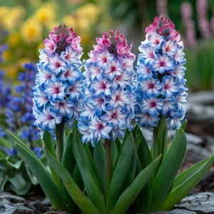 Гиацинт Пинк Мари купить по цене от 2099р. в интернет-магазине «Посадика» с доставкой почтой в в Кувшиновое и по всей России – [изображение №1].