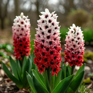 Гиацинт Скай Гарден купить по цене от 2099р. в интернет-магазине «Посадика» с доставкой почтой в в Кувшиновое и по всей России – [изображение №1].